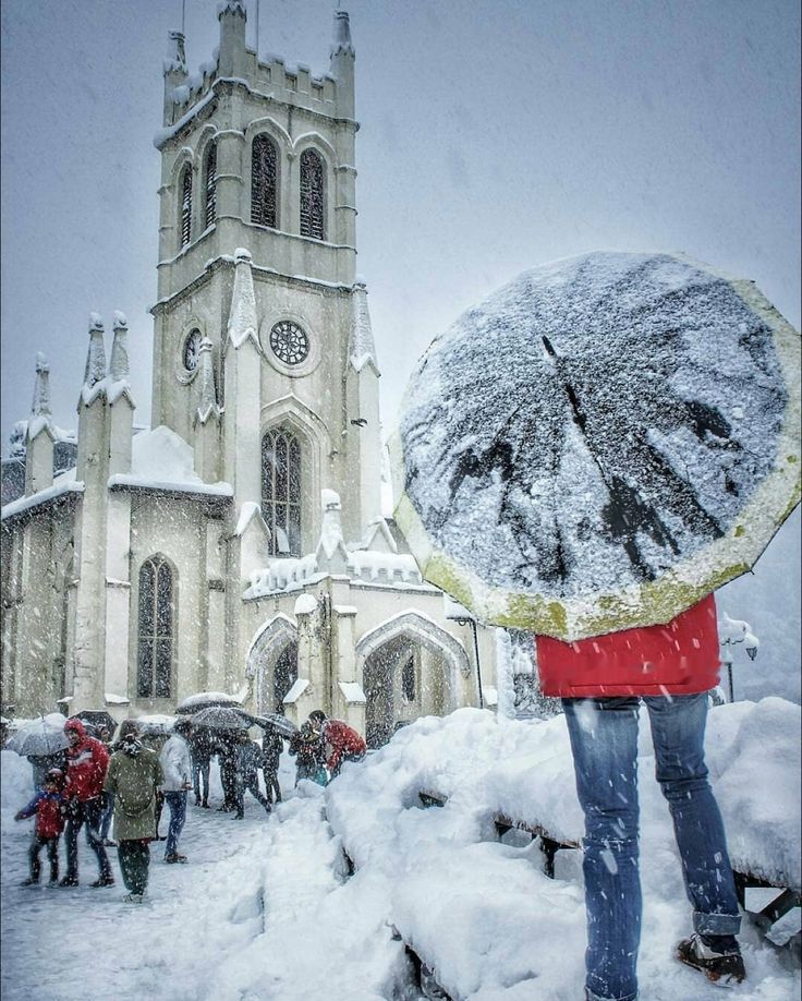 Fresh Snowfall in Shimla