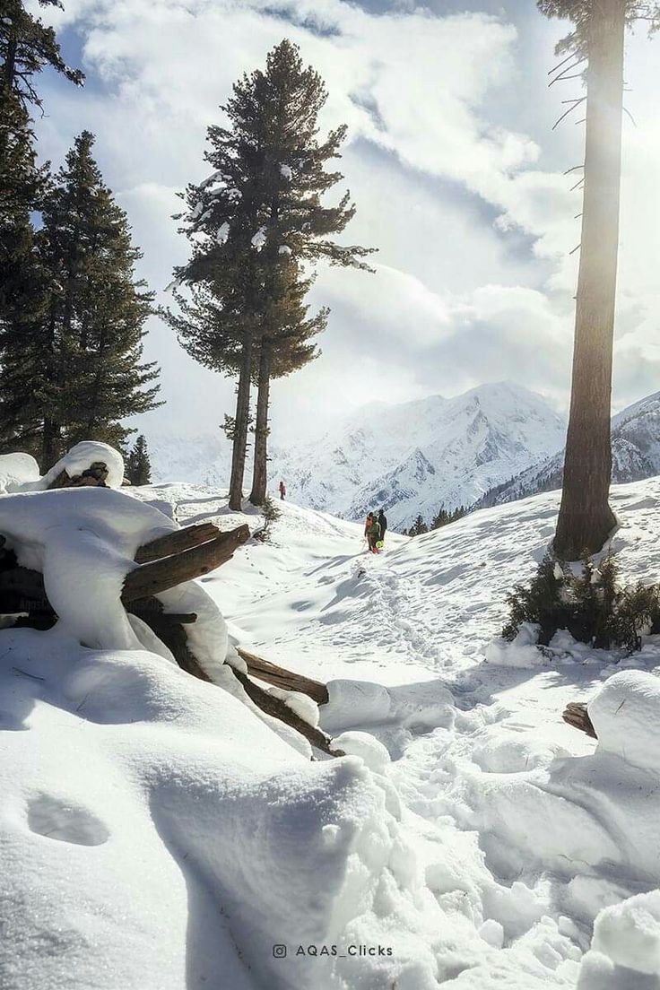 Mountain Landscape