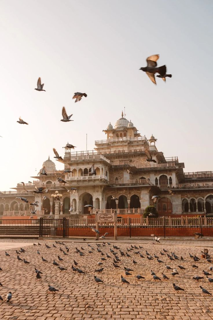 Jaipur Sightseeing
